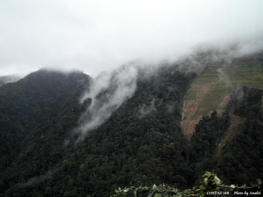 06.01.10.CameronHighland.jpg