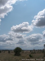 0812_toArusha-7.jpg