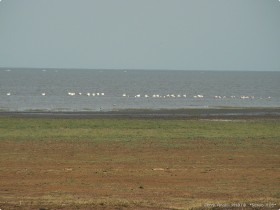 0814_Manyara-19.jpg