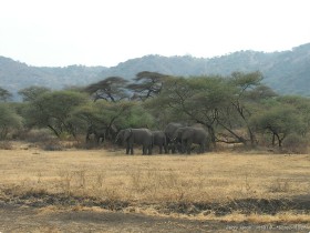 0814_Manyara-20.jpg