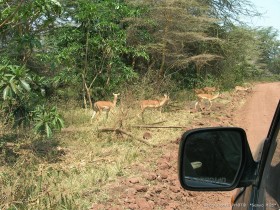 0814_Manyara-5.jpg