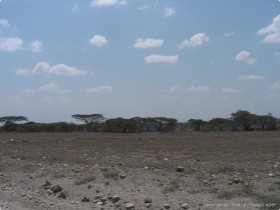 0815_toSerengeti-2.jpg