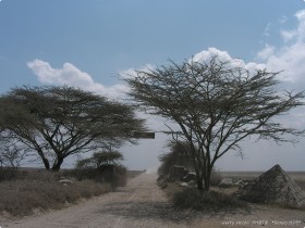 0815_toSerengeti-3.jpg