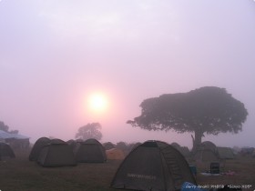 0816_SimbaCamp.jpg