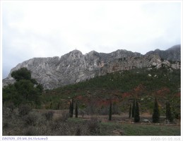 080105_05.Mt.St.Victoire3