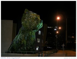 080110_54.bb_Gugenheim27