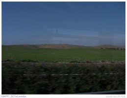 080117_32.ToCordoba
