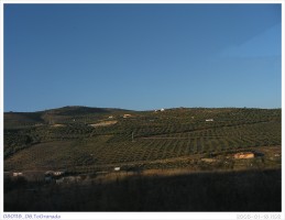 080118_06.ToGranada