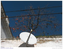080118_10.GR_Albicyn
