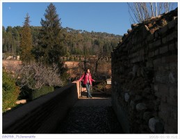 080118_71.Generalife