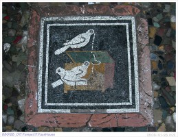 080128_017.Pompei.17.FaunHouse