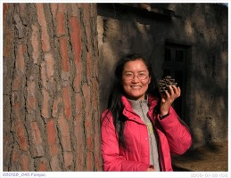 080128_045.Pompei.