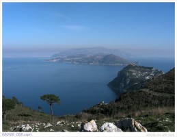 080129_088.capri.