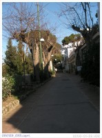 080129_093.capri.