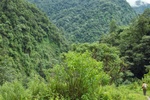 하신길의 숲 하신길의 숲