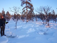 17-01-20.13-27-54  가이드의 순록 설명