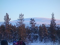 17-01-20.13-33-40  킬로파산의 순록